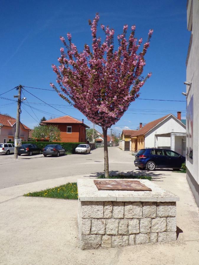 Apartman Bedem Nikšić Esterno foto